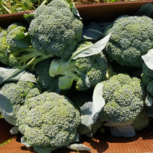Load image into Gallery viewer, Broccoli Crowns (3 per order) ***GREAT PRICE***
