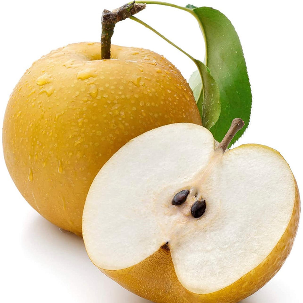 Apple Pear (2 per order) XL