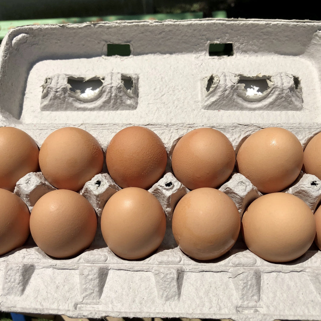 Eggs Local 1 Dozen Jumbo Brown **ORGANIC**