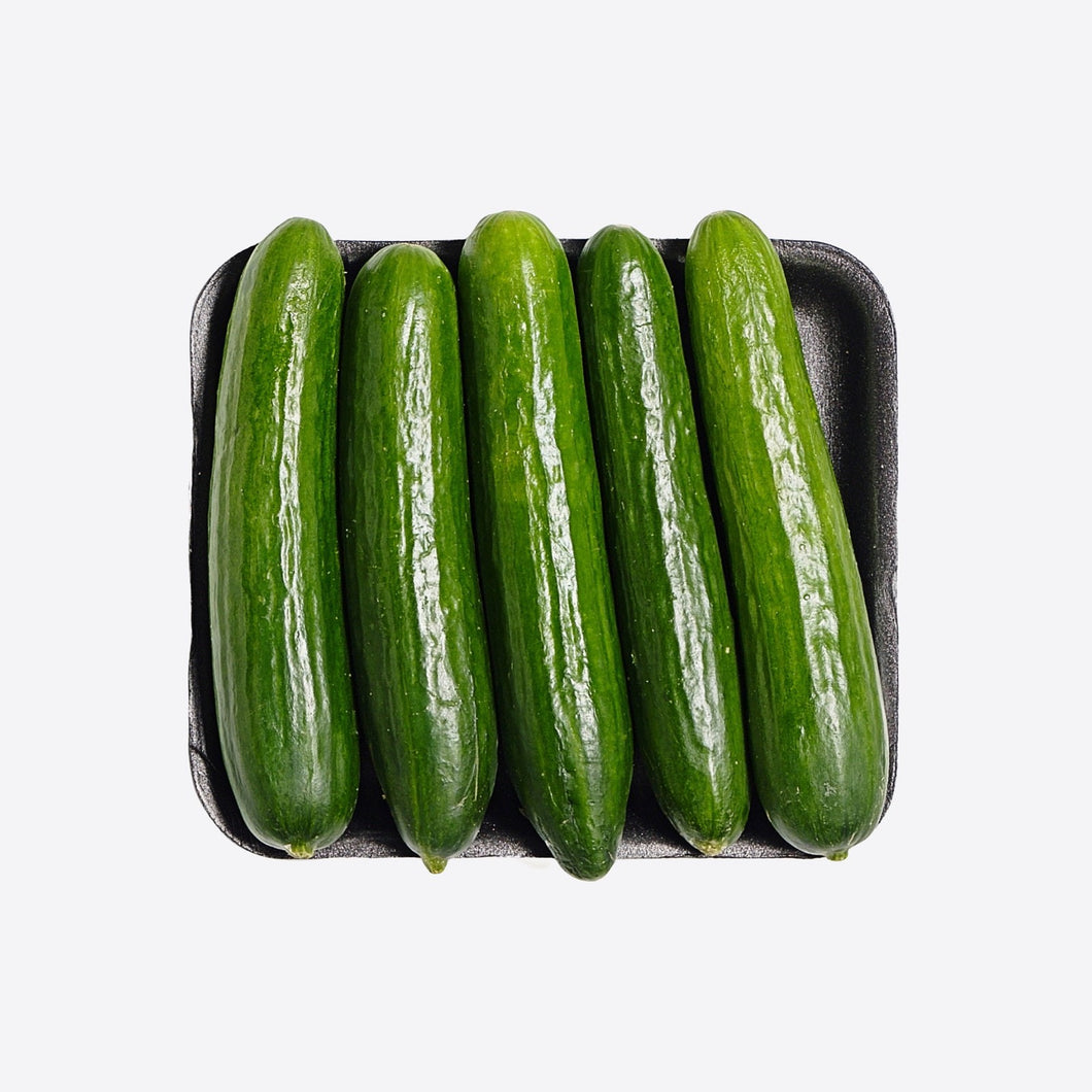 Cucumbers Persian Tray (Mini) **SALE**