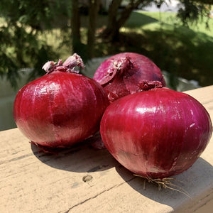 Onions Red (3-4 per order)