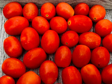 Load image into Gallery viewer, Tomatoes Grape ***SALE***
