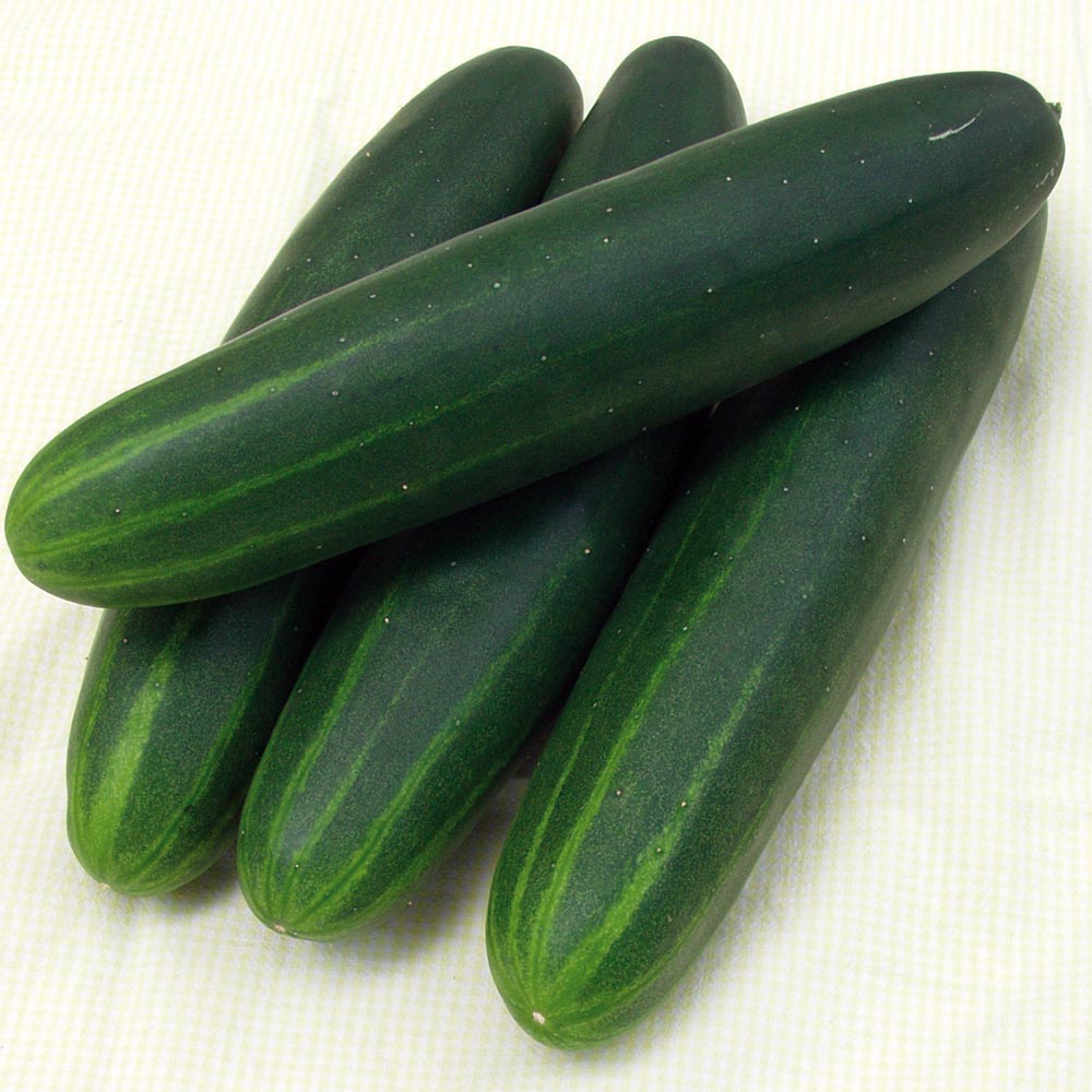 Cucumbers Super Select (2 per order)  ***LOCAL***
