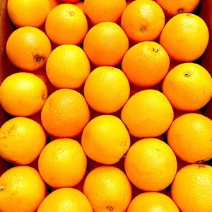 Citrus Oranges Large (2 per order)