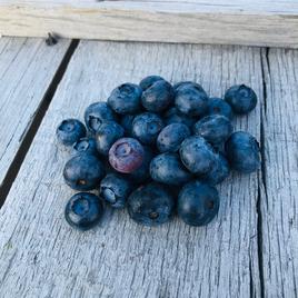 Berries Blueberries