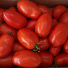 Load image into Gallery viewer, Tomatoes Plum (4-5 per order)
