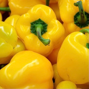 Peppers Yellow (2 per order)
