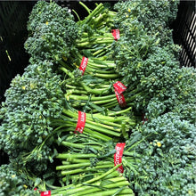 Load image into Gallery viewer, Broccolini **2 BUNCHES**
