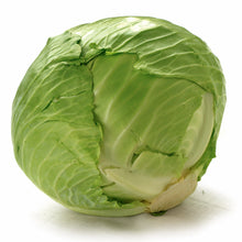 Load image into Gallery viewer, Cabbage Green Large Head
