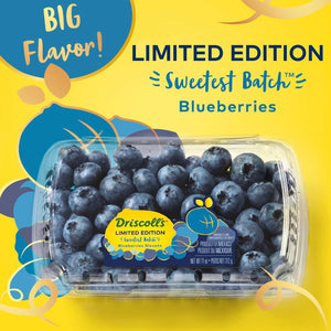 Berries Blueberries Sweetest Batch ***BEST PRICE***