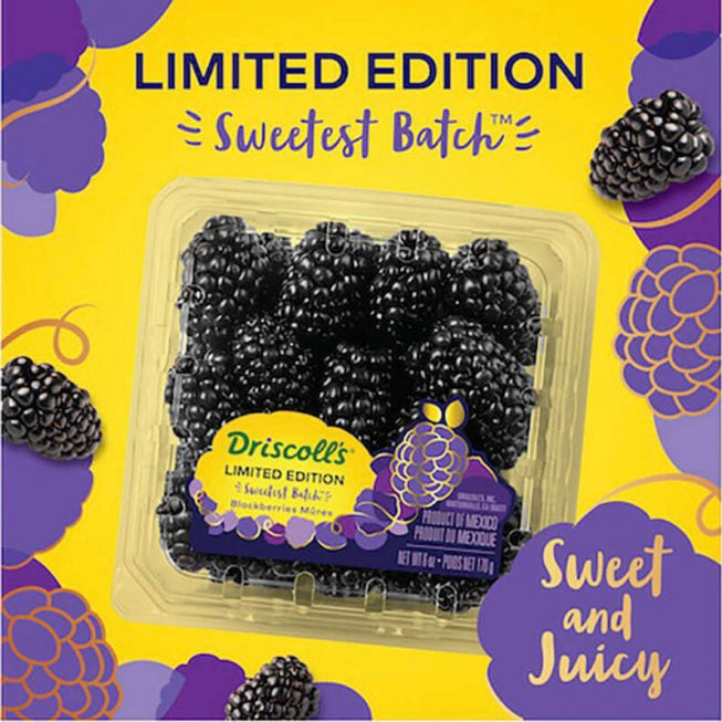 Berries Sweetest Batch Blackberries